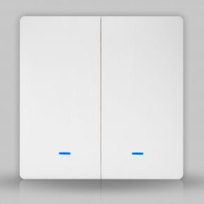 Zigbee вимикач Tuya білий (2 клавіші)